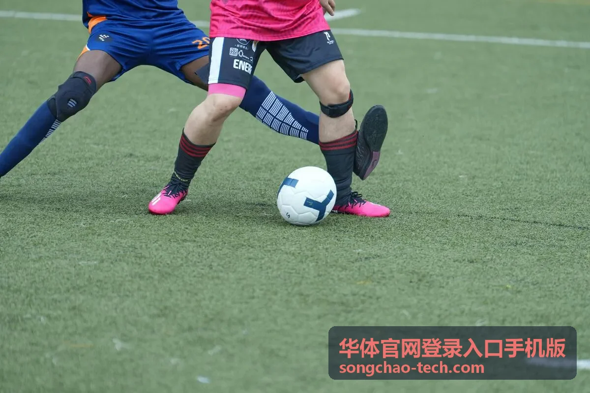 华体官网登录入口手机版验证码收不到时的排查顺序示意