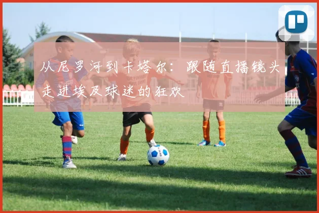 从尼罗河到卡塔尔：跟随直播镜头走进埃及球迷的狂欢